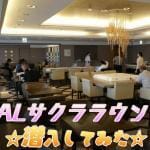 関空の「JALサクララウンジ」へ潜入調査!噂のカレーを食べてみた
