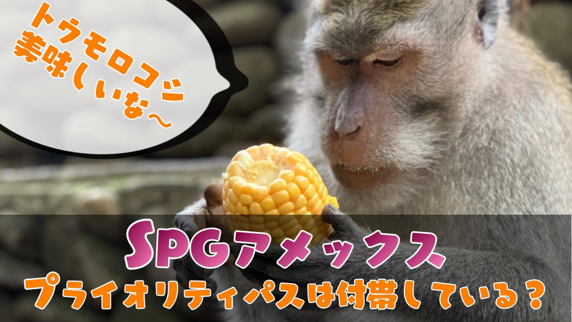 旅行好きの味方「SPGアメックス」に「プライオリティパス」はついているのか？