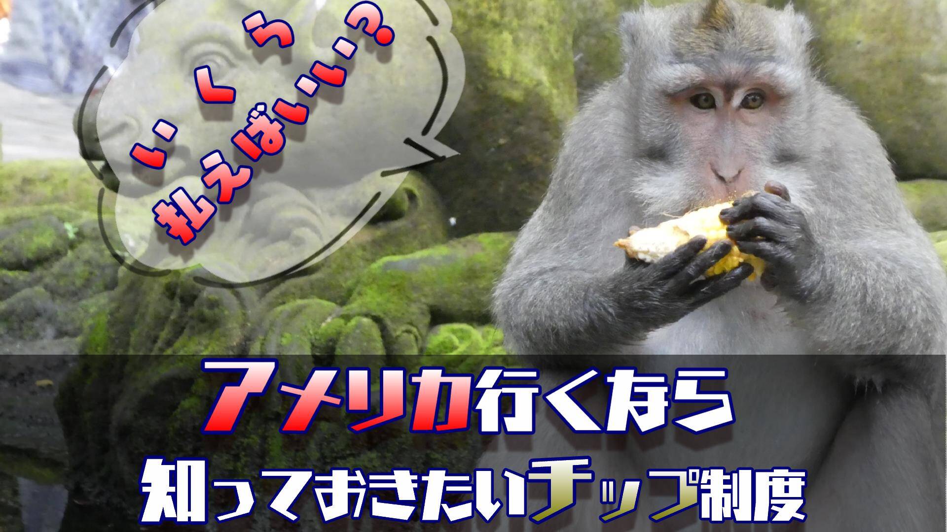 アメリカに行くならぜひ知っておきたい チップの仕組みとその渡し方