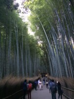 京都_嵐山_竹林の道 京都_嵐山_竹林の道
