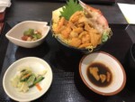 北海道_新ひだか町_あま屋_春ウニ丼